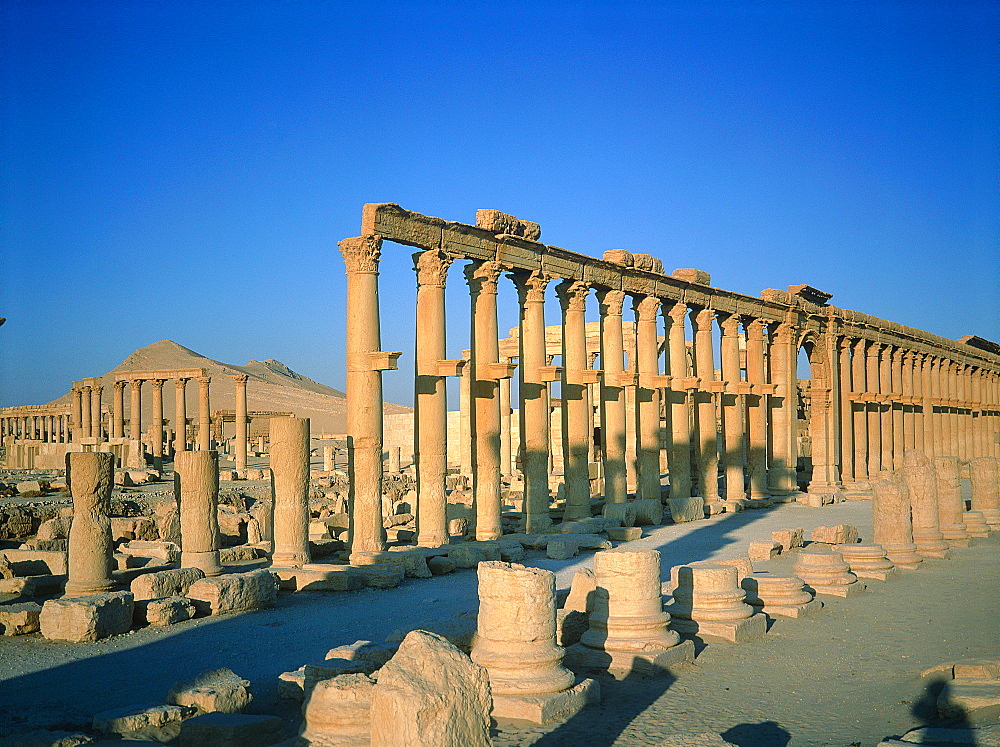 Syria, Palmyra Oasis, The Roman Ruins, Remnants Of The 1200m Colonnade Edging The Cardo (Main Road In The Roman City Center) 