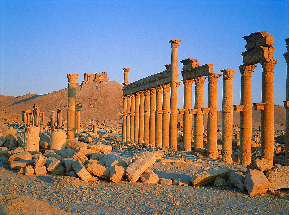 Syria, Palmyra Oasis, The Roman Ruins, Remnants Of The 1200m Colonnade Edging The Cardo (Main Road In The Roman City Center) 