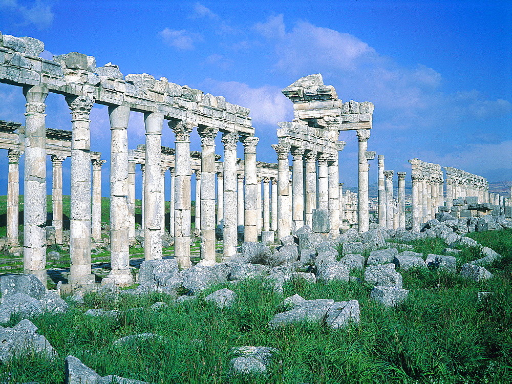 Syria, Orontes Valley, Apamea, The Colonnnade (Corinthian Style Capitals) Lining The Cardo In The Roman City