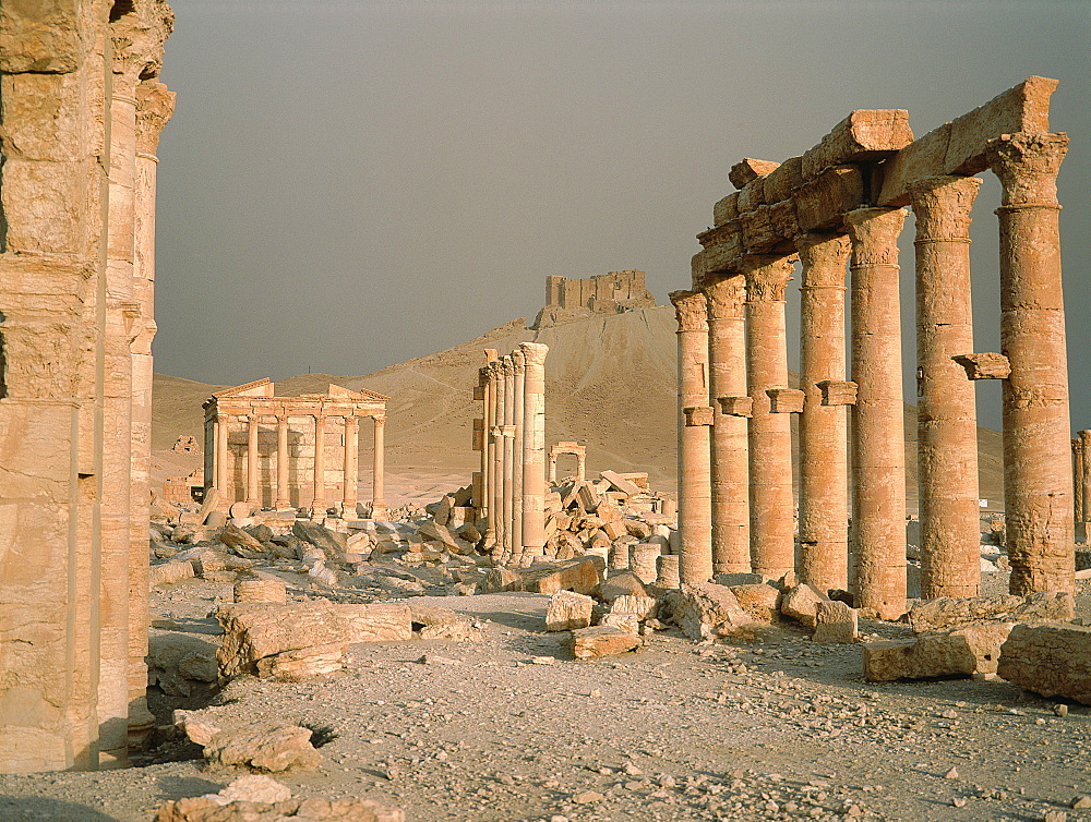 Syria, Palmyra Oasis, The Roman Ruins, Remnants Of The 1200m Colonnade Edging The Cardo (Main Road In The Roman City Center) 