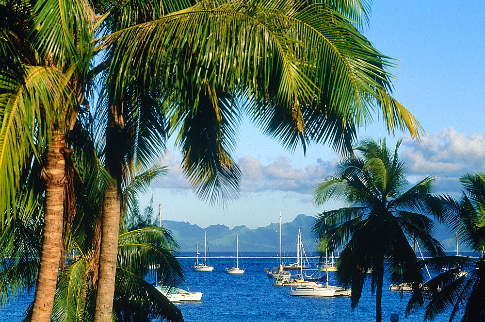 French Polynesia, Tahiti, Moorea Island And Moored Sailing Boats View From Punaauia 