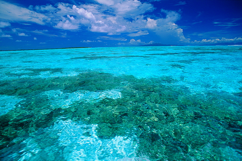 French Polynesia, Moorea Island, Colors Of The Lagoon