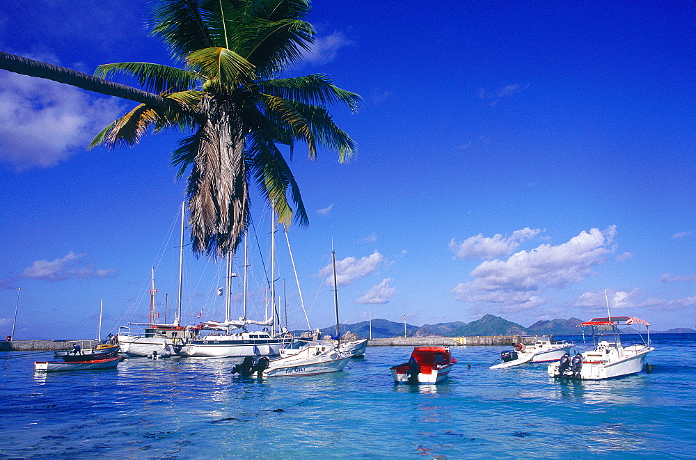 Seychelles, La Digue Island, Yachts Moored In The Marina