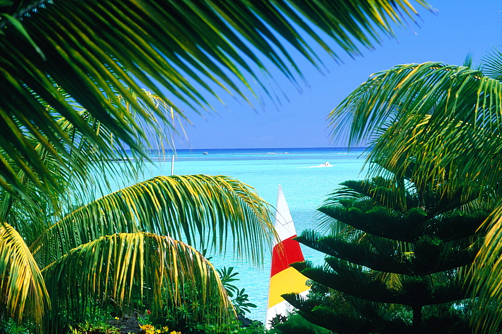 Mauritius Island, Colored Sail And Lagoon Framed By Palms