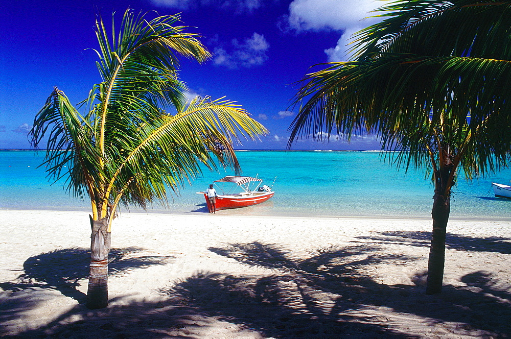 Mauritius Island, Morne Brabant Beach, The Lagoon Boats And Palms