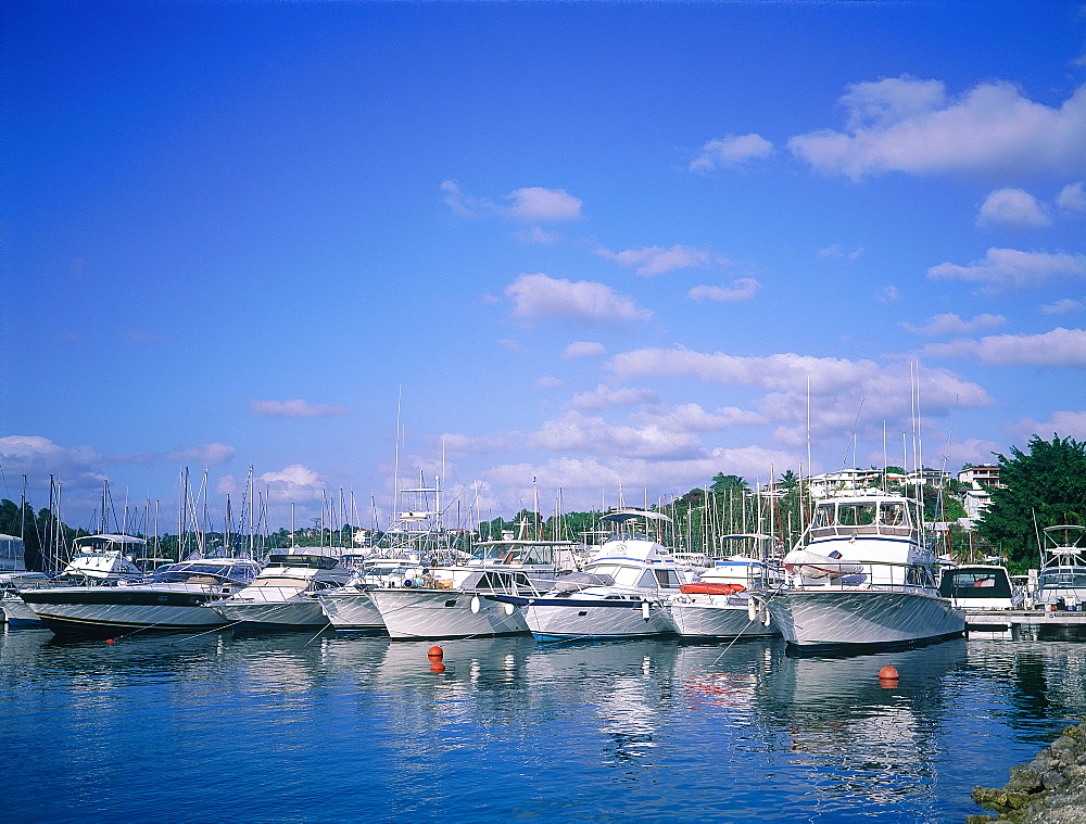 French West Indies, Guadeloupe, Town Of Pointe A Pitre, Sailing Boats Moored In The Marina