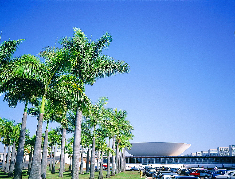 Brazil, Goias, Brasilia, The Administrative Capital Created Par President Kubitschek And Designed By Brasilian Town Planner Lucio Costa & Architect Oscar Niemeyer, The Congress Palace (Congresso) And Palmes Lining The Road