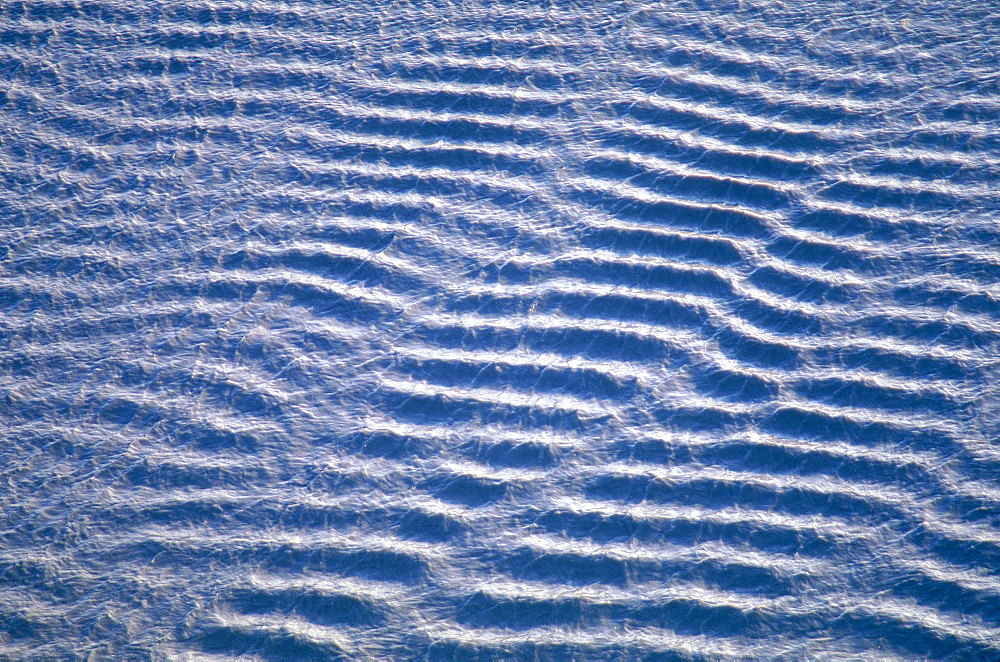 France, Normandy, Manche (50), The Bay, At Low Tide The Socalled Tangue (The Grey Sand) , Closeup
