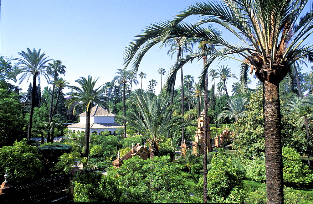 Spain, Andaloucia, Sevilla, Real Alcazar, The Gardens