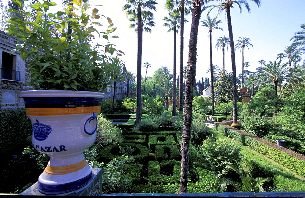 Spain, Andaloucia, Sevilla, Real Alcazar, The Gardens