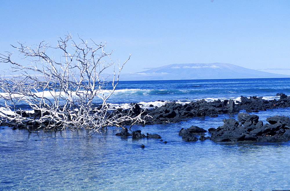 Ecuador, Galapagos Archipelago, Cruise On Board Of Ms Santa Cruz, Espanola Island, Punta Soares, 