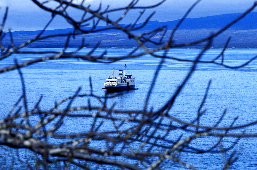 Ecuador, Galapagos Archipelago, Cruise On Board Of Ms Santa Cruz, Isabella Island, Tagus Cove, 