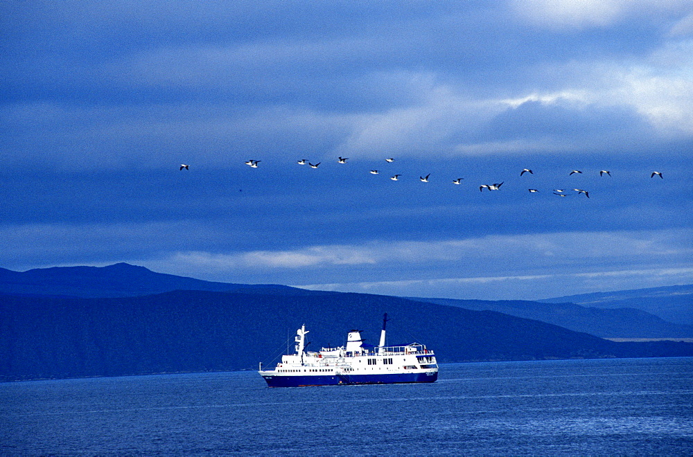 Ecuador, Galapagos Archipelago, Cruise On Board Of Ms Santa Cruz, 