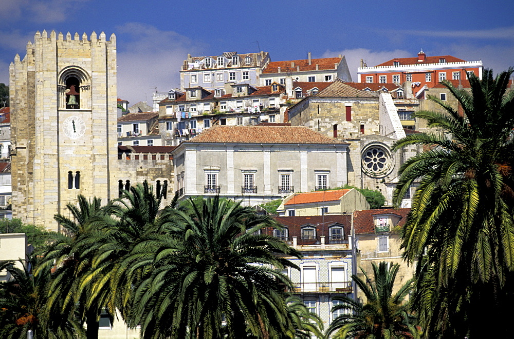 Portugal, Lisbon, Overview On The City (Alfama) With Cathedra (Se) , Palmes At Fore