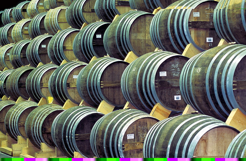 Cognac aging in barrels in cellars, Charente, France, Europe