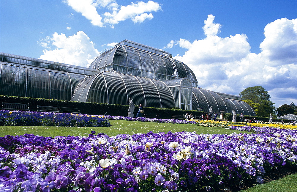 Glasshouse and flowerbeds in spring, Kew Gardens, UNESCO World Heritage Site, London, England, UK, Europe