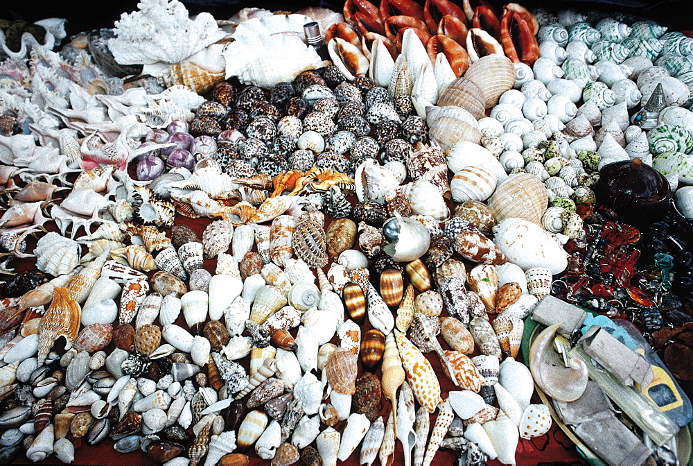 Seychelles, Mahe, Shells Stall