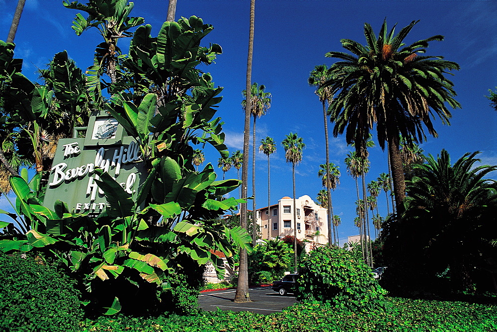 Los Angeles, California, Usa Beverly Hills Hotel & Gardens