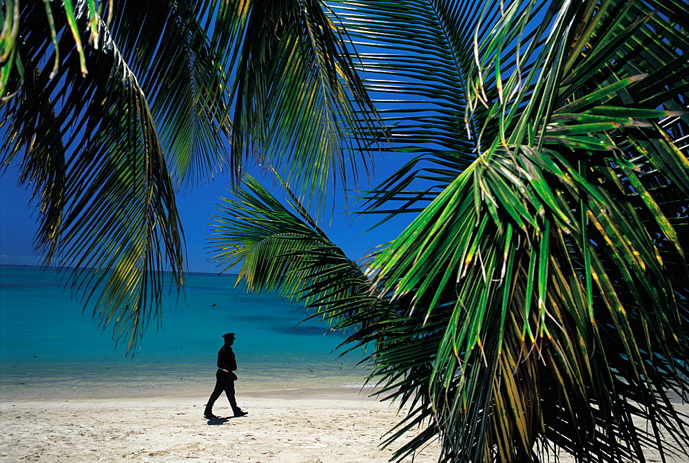 Mauritius, Grand Bay Beach & Palms