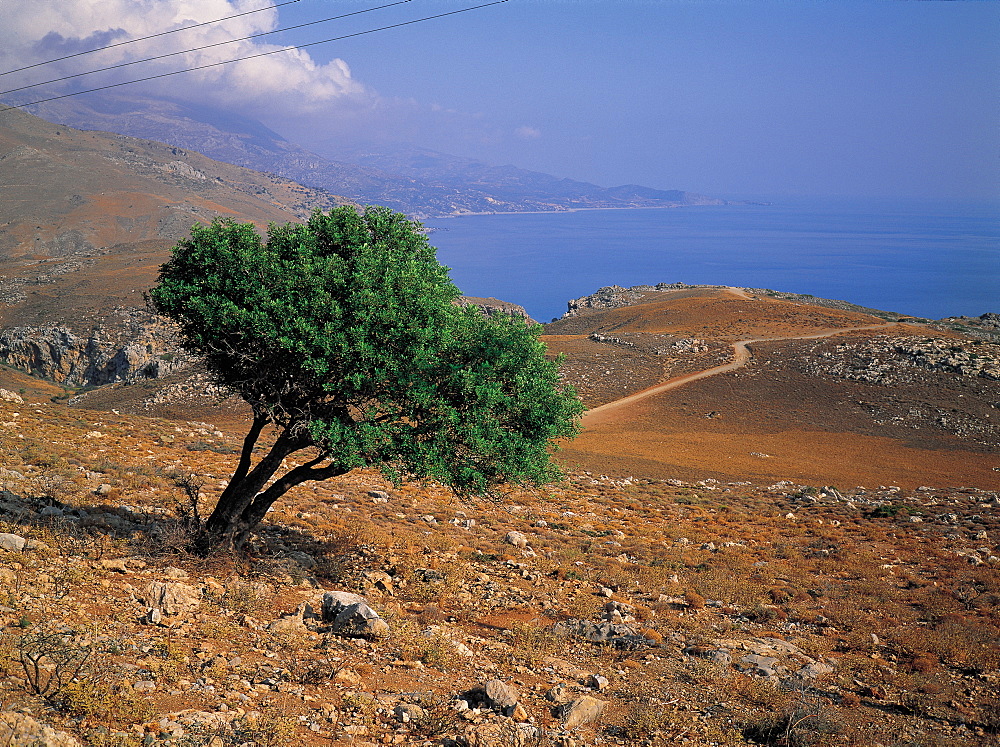 Creta, Preveli Coastline, Greece