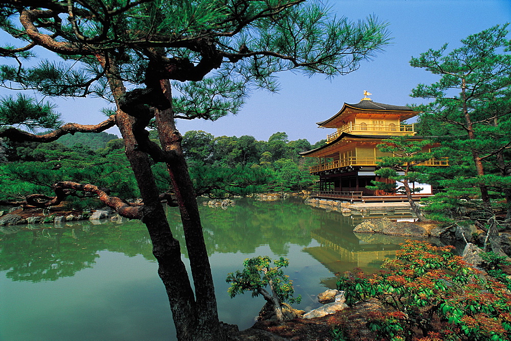 Japan, Kyoto, Kinkaku Ji Golden Temple