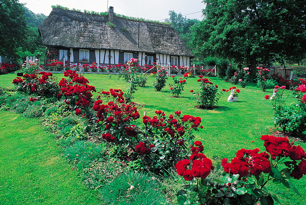 Typical Home & Garden, Normandy, France