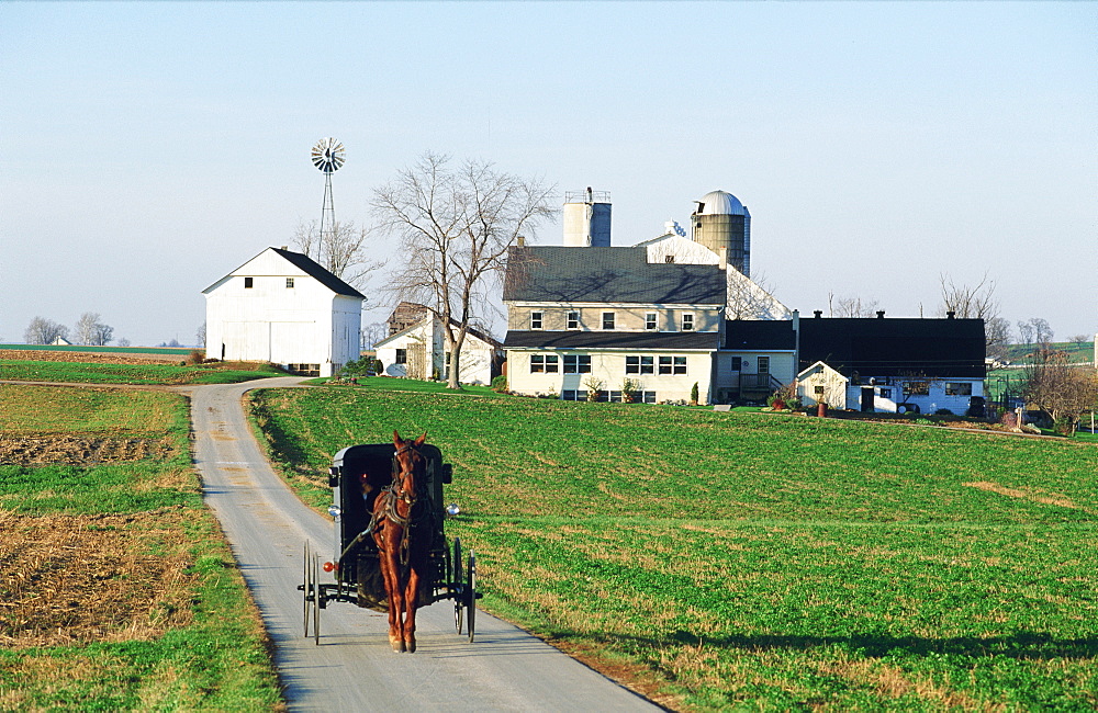 Amish Buggy & Farm At Rear, Usa