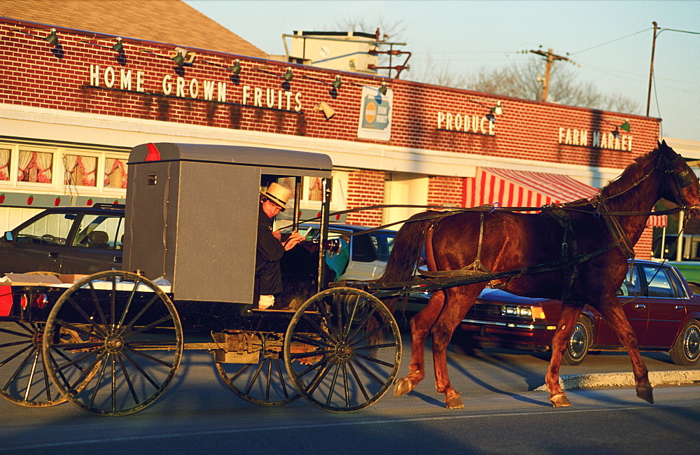 Kaufmann Amish Farm Market, Usa