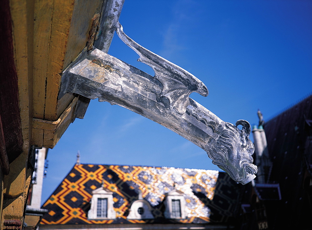 Beaune, Hospital, Gargoyle, Burgundy, France