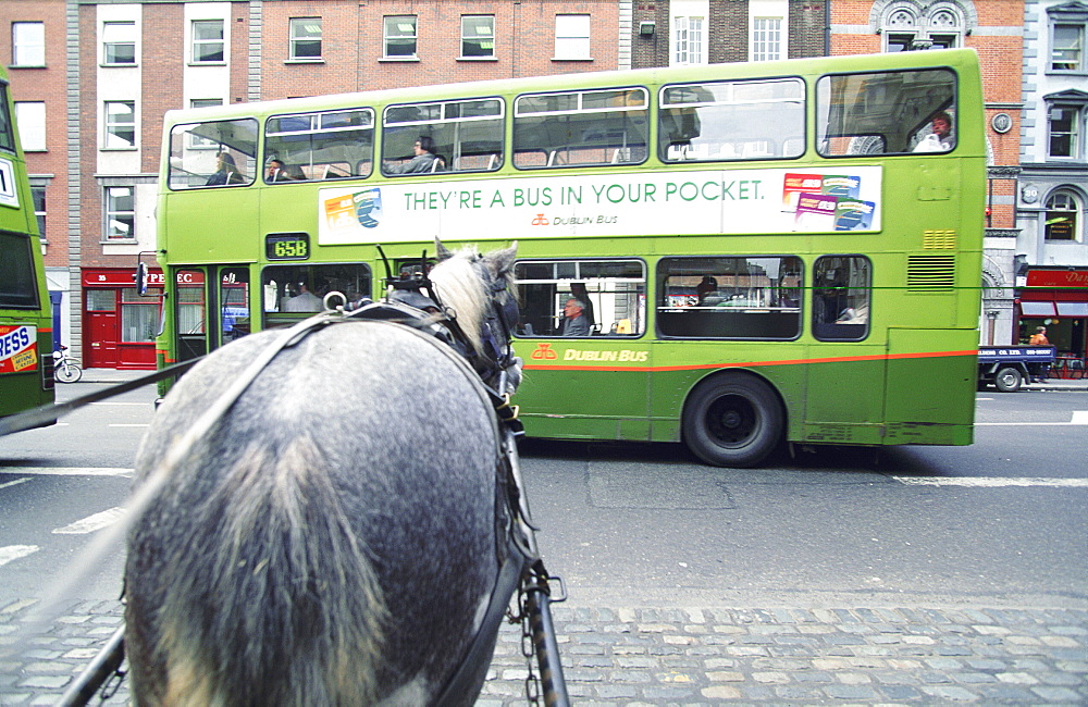 Ireland, Dublin, Horse Pulling Cart And Buses