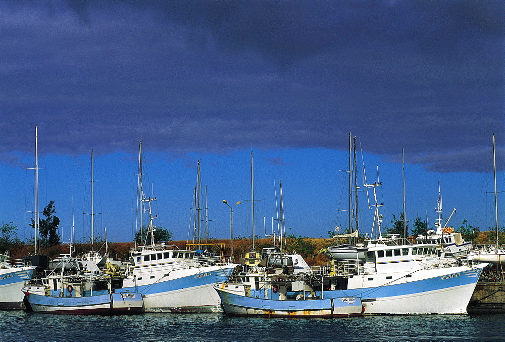 Fishing Boats At Pier, Saint-Denis, Reunion