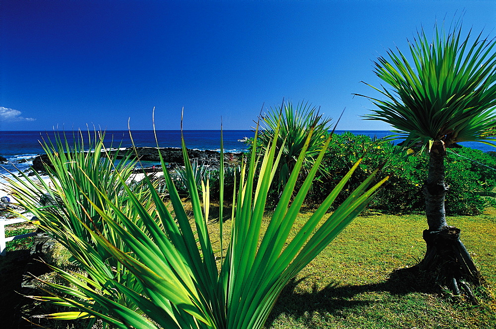 Indian Ocean Seen From Boucan Canot, Reunion