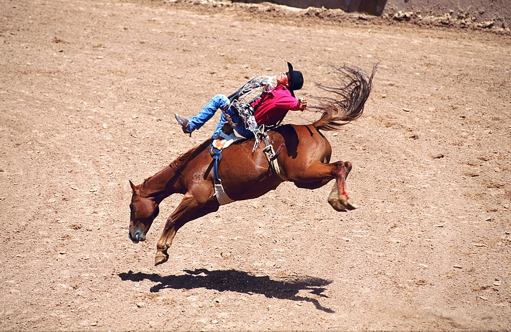 Usa, New-Mexico, Intertribal Ceremonial Rodeo