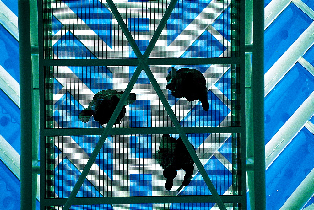 Part View Of Moma Footbridge, M.Botta Arch, San Francisco, Usa
