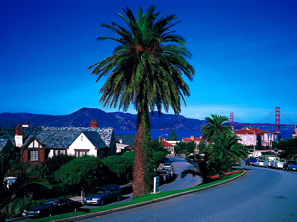 Lincoln Boulevard & Golden Gate At Rear, San Francisco, California, Usa