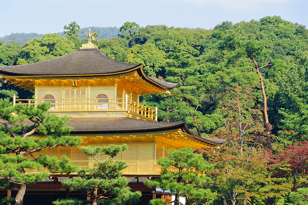 Temple of the Golden Pavilion, Kyoto, Japan