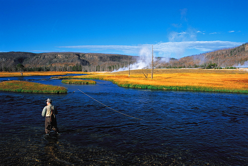 Trout Fishing, Yellowstone Park, Wyoming, Usa