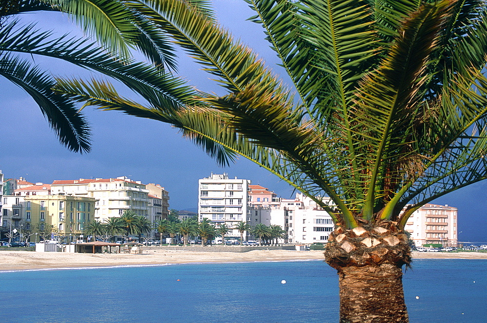 France, Corsica, South, Ajaccio, The Beach And Palm At Fore