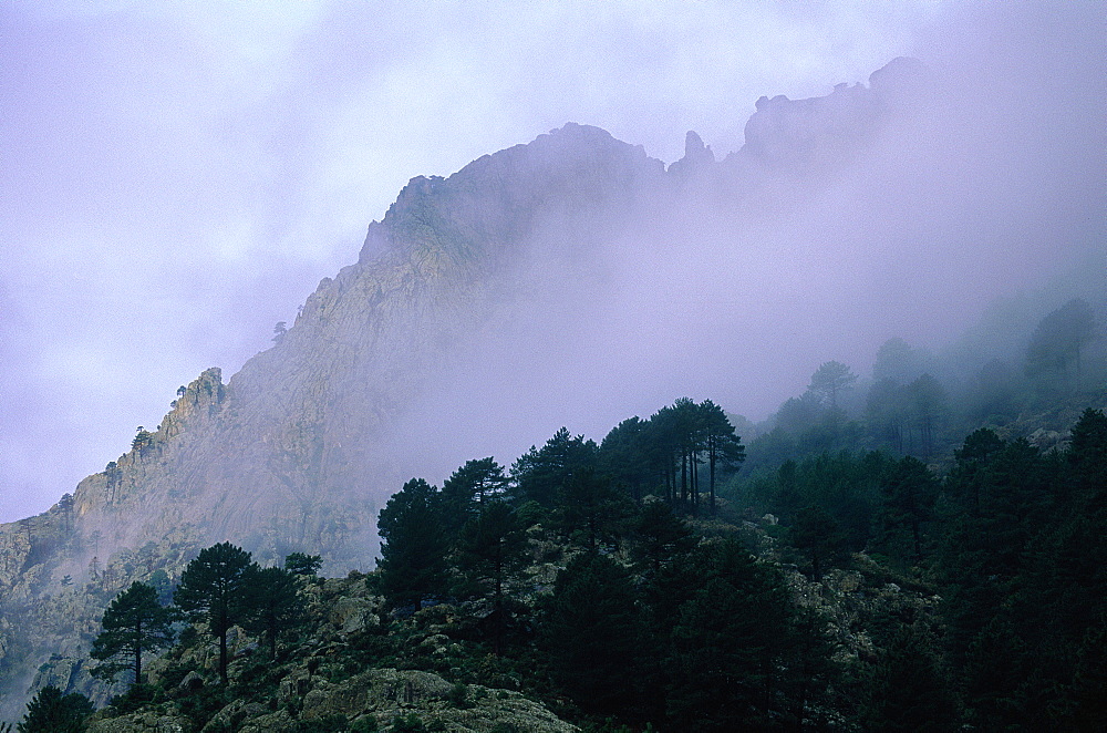 France, Corsica, Corte (Near), Restonicca Valley, Misty Day