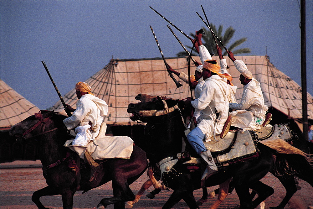 Morocco, Marrakech, Fantasia (Men Galloping On Horses And Firing Old Guns)