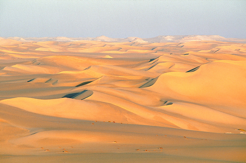 Algeria, Sahara, North Of Djanet Oasis, Landscape Of Dunes 