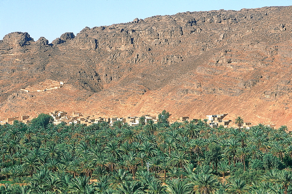 Algeria, Sahara, Tassili M'ajjer, Oasis Of Djanet, The Palm Grove Seen From The Ancient Citadel 