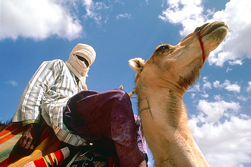 Algeria, Sahara, Tassili M'ajjer, Vicinity Of Oasis Of Djanet, Tuareg Riding His Camel 