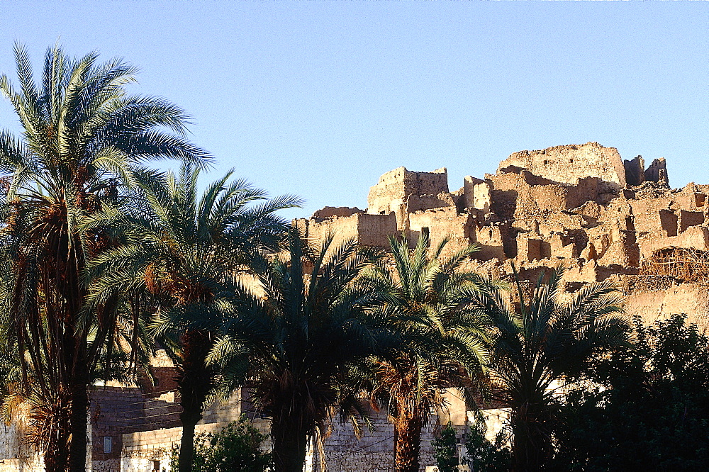 Algeria, Sahara, Tassili M'ajjer, Oasis Of Djanet, The Ancient Fortified Citadel View From The Palm Grove 