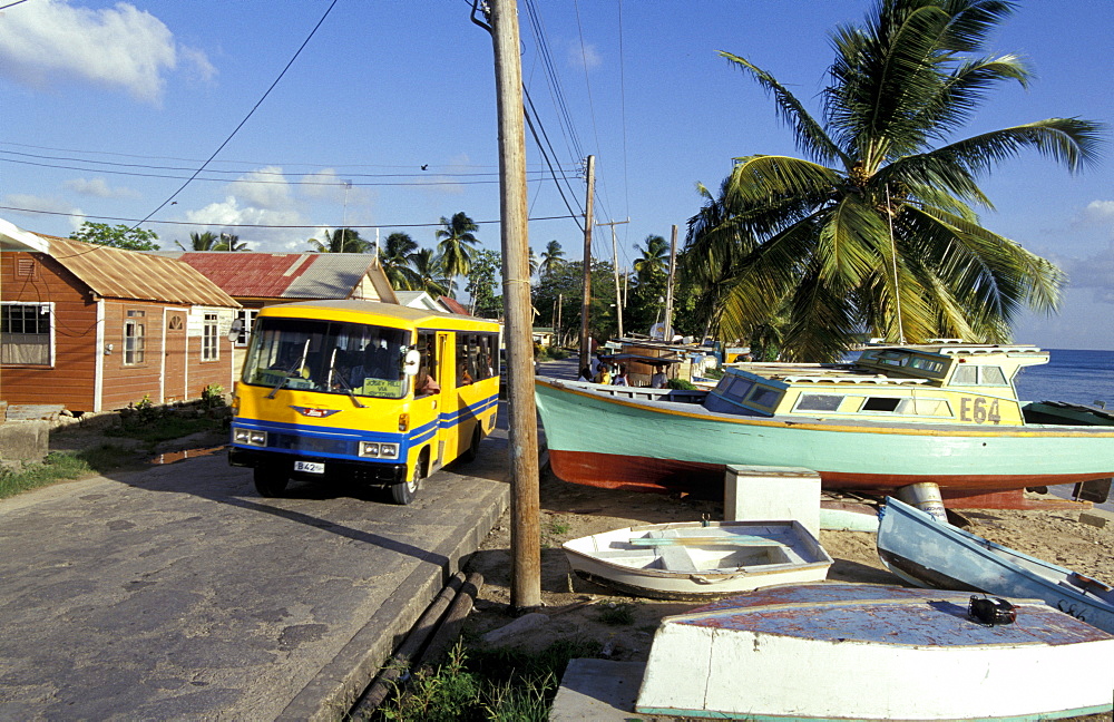 Caribbean, West Indies, Barbados, St Peter Parish, Fishermen Village Of Six Men's Bay, 