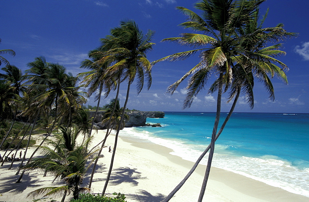 Caribbean, West Indies, Barbados, East Coast, Bottom Bay Beach