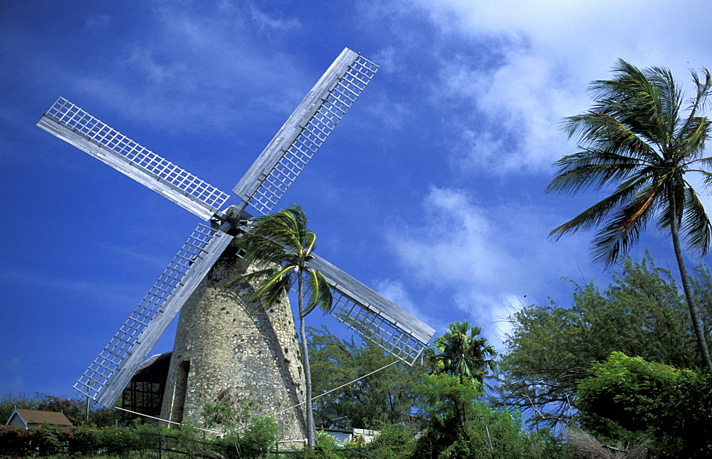 Caribbean, West Indies, Barbados, St Peter Parish, Green Pond, The Morgan Lewis Windmill, Renovated Recently, Designed By Dutch Settlers