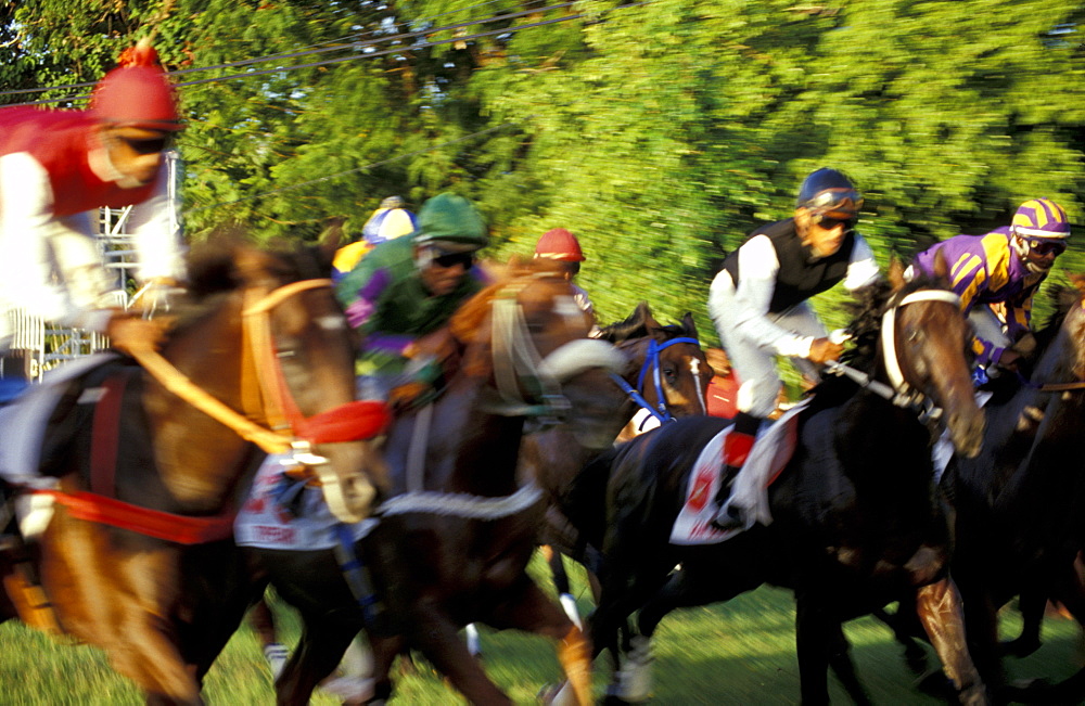 Caribbean, West Indies, Barbados, Bridgetown, Savannah Garrison Ancient British Barracks, Horses Races, The Yearly Grand Derby