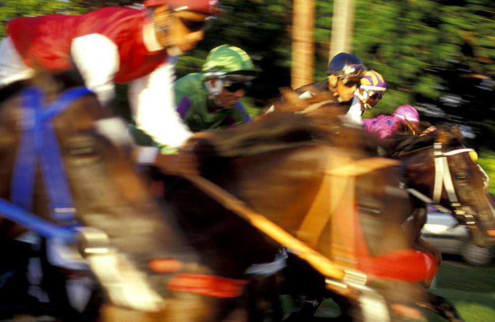 Caribbean, West Indies, Barbados, Bridgetown, Savannah Garrison Ancient British Barracks, Horses Races, The Yearly Grand Derby