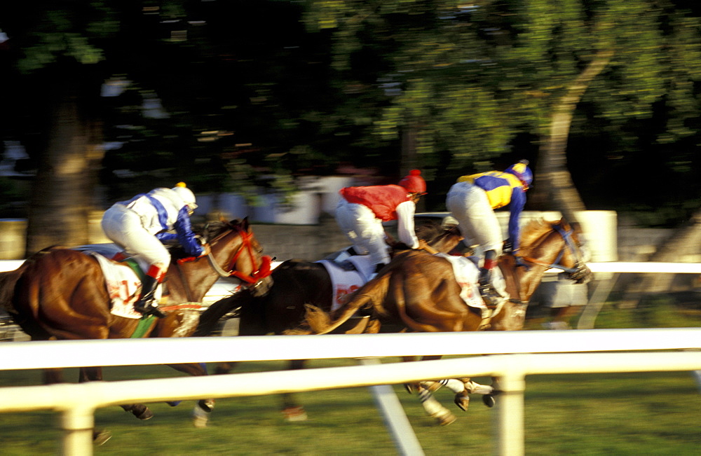 Caribbean, West Indies, Barbados, Bridgetown, Savannah Garrison Ancient British Barracks, Horses Races, The Yearly Grand Derby